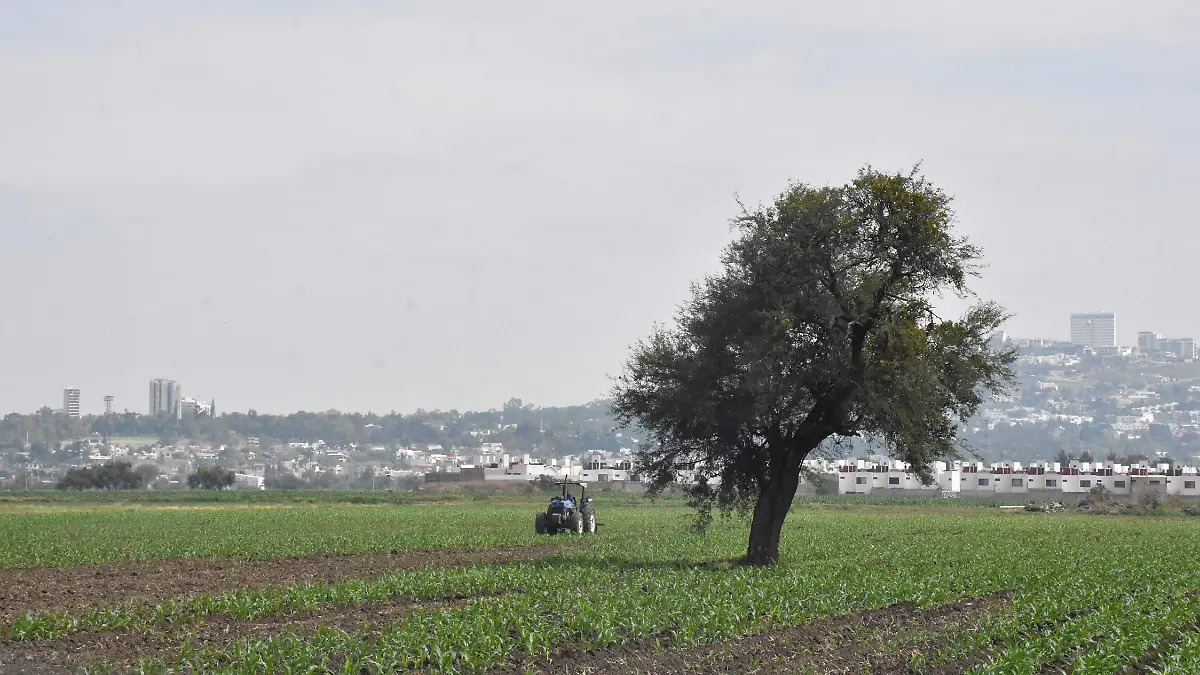 Los productores solicitan un incremento