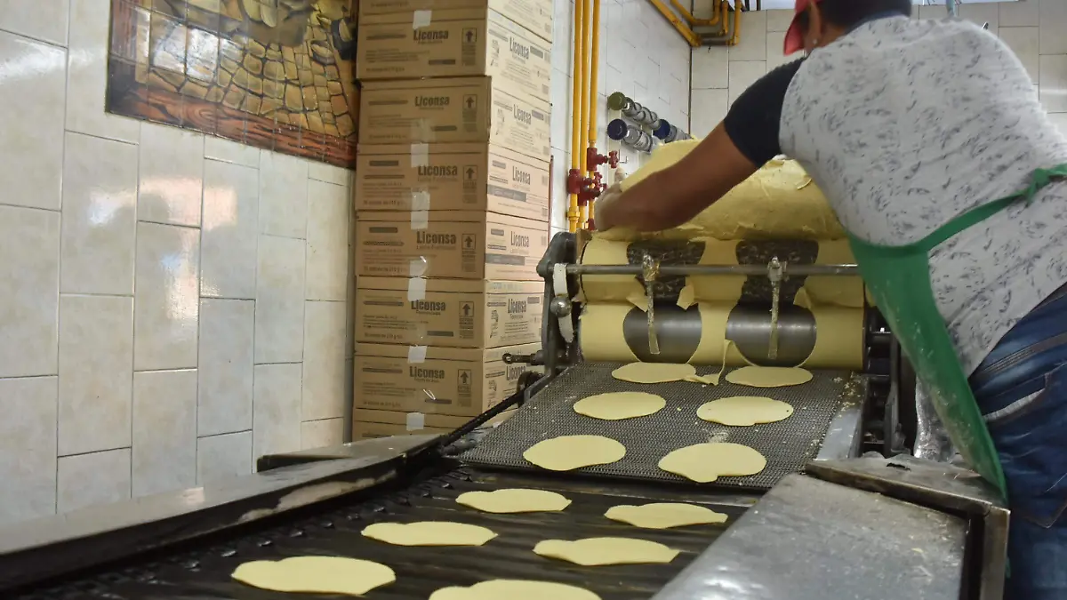tortilla podria aumentar dos pesos
