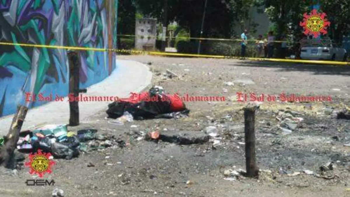 351f392d-528e-464d-a6d9-51c6fd2c0117 (1)