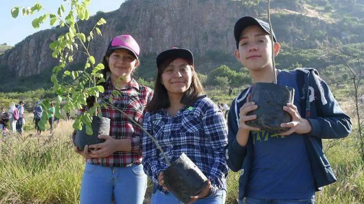 75e780e3-f0ed-4c8b-afe2-8839ebcfee3c