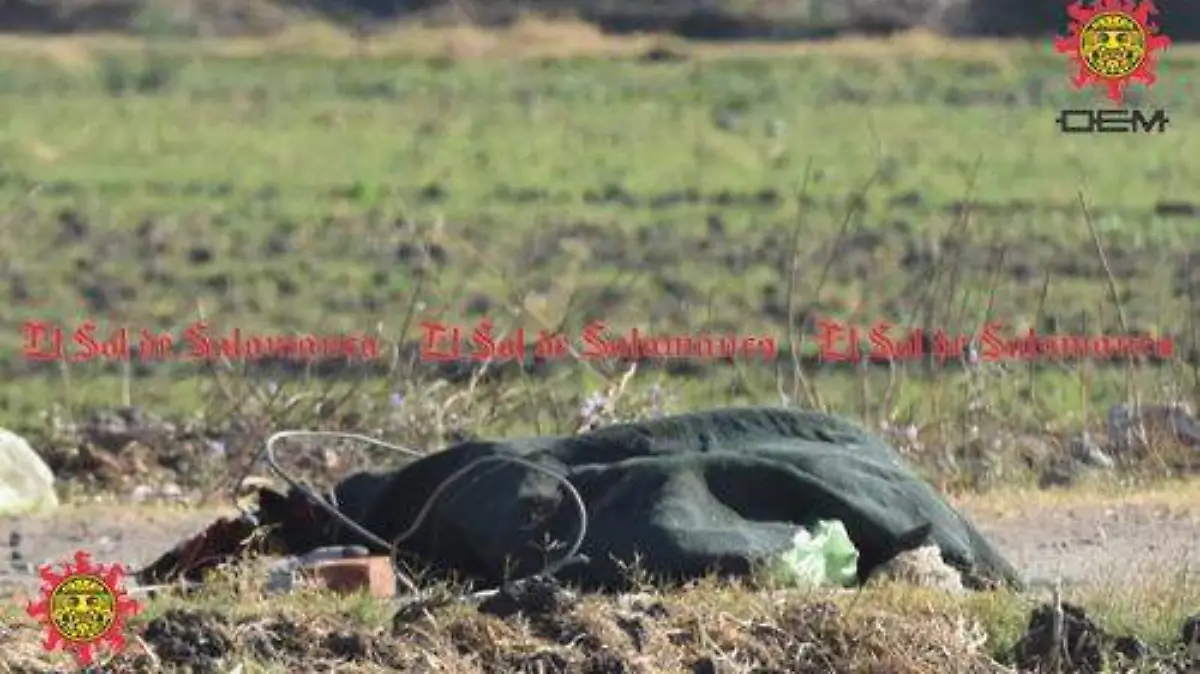 38548a91-f2f3-450a-8c8e-f2067b0d1282