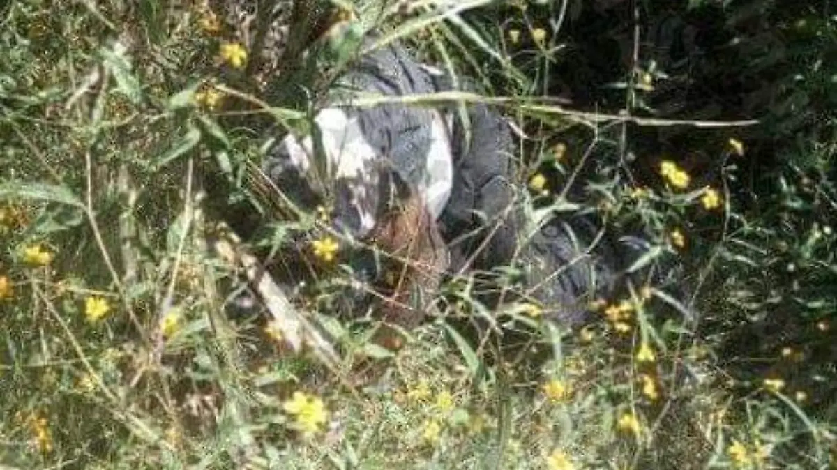 72a912e7-f79d-4e6f-8e5c-e055a29fdcec