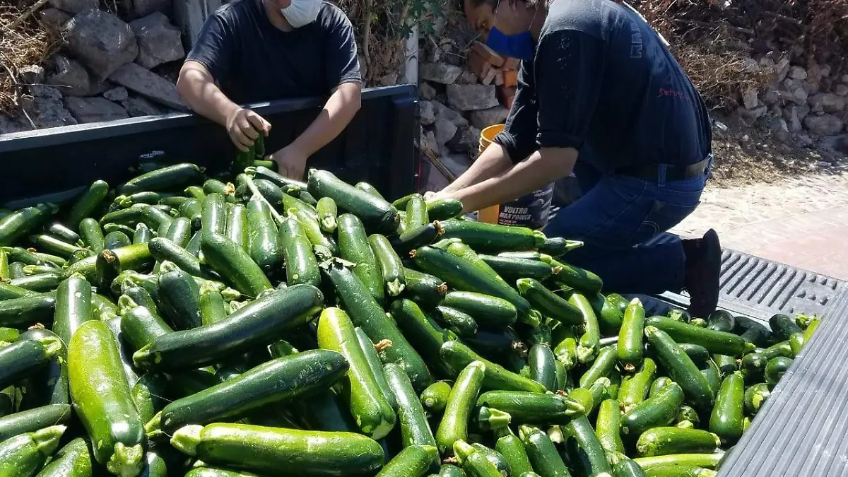 bf773497-a128-4466-82e6-57ed0fd584b6