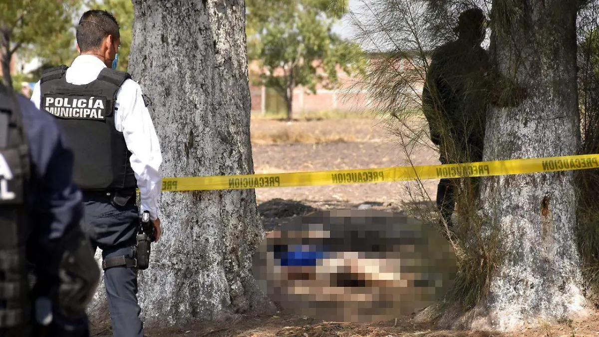 972807f4-ffe2-4e0d-ae53-c2a24339e1e8