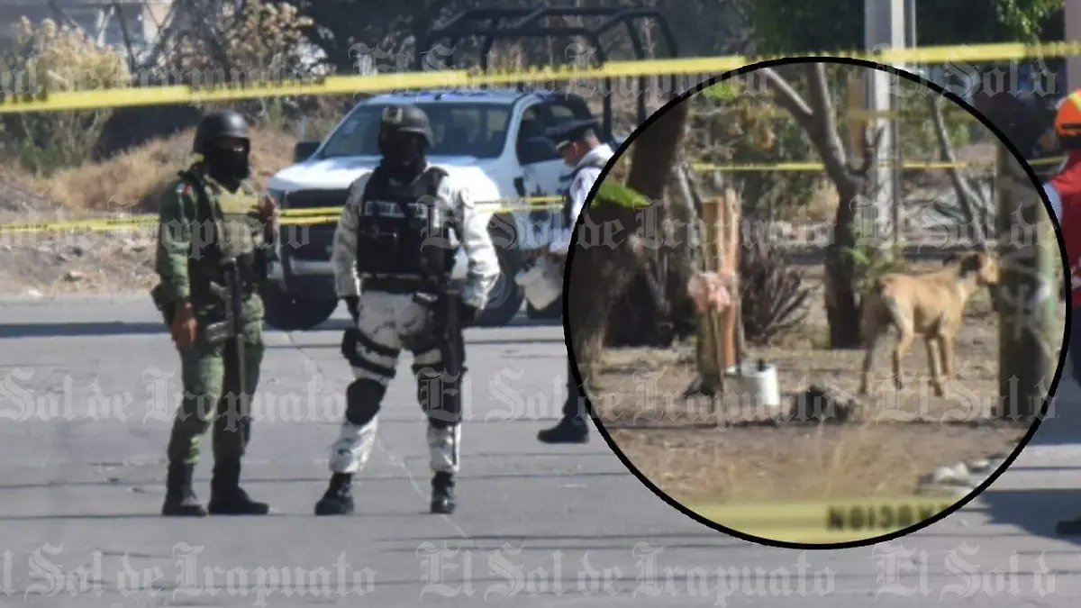 6c1f120f-8178-4ae2-ae34-a99bd5337831