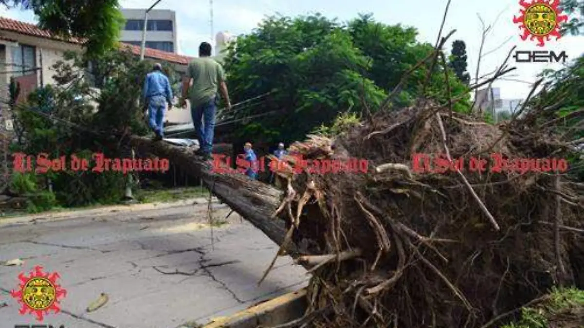 75df41f7-1e10-4688-b2d9-2ecf9e6e9680