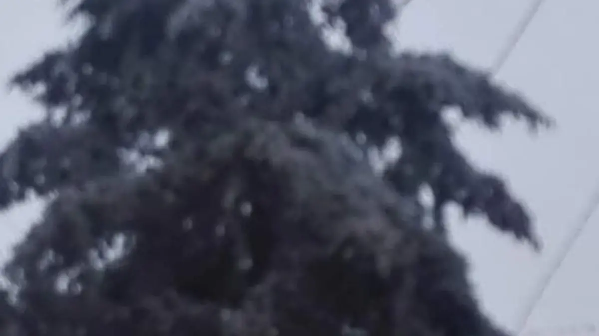 Image 2018-11-14 at 10.10.52 AM