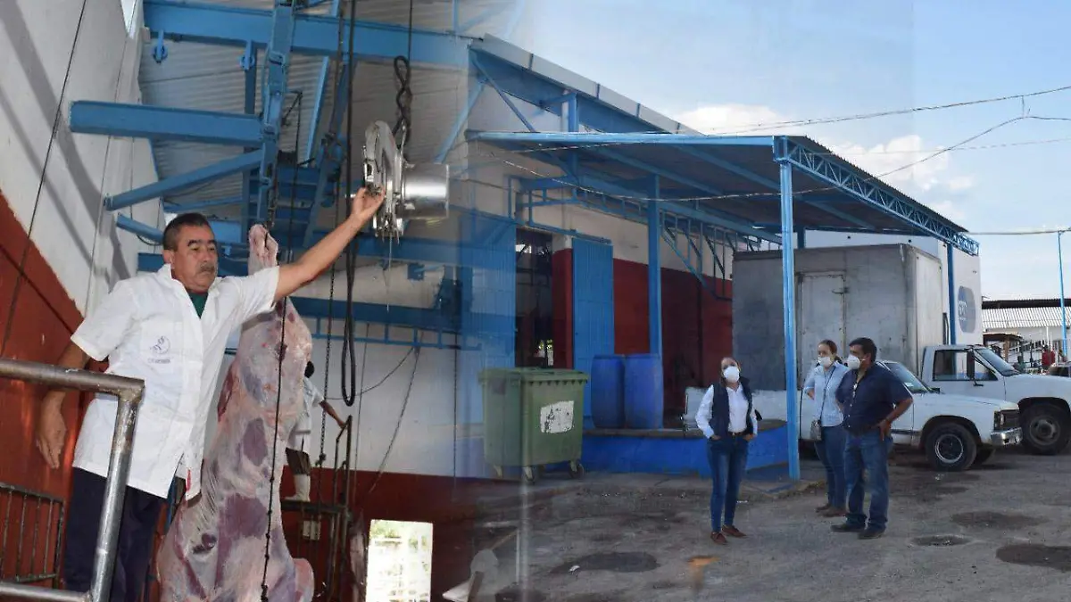 9fd9f16b-bba7-4f7f-999c-8c1c05c8c177