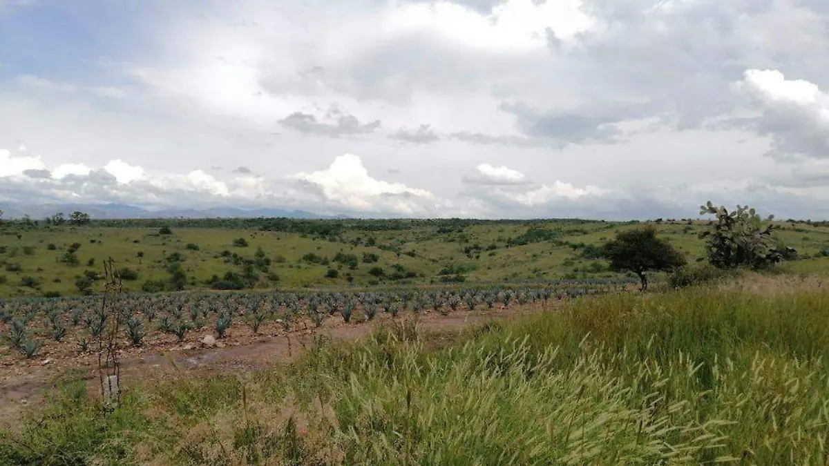 La empresa que quiere