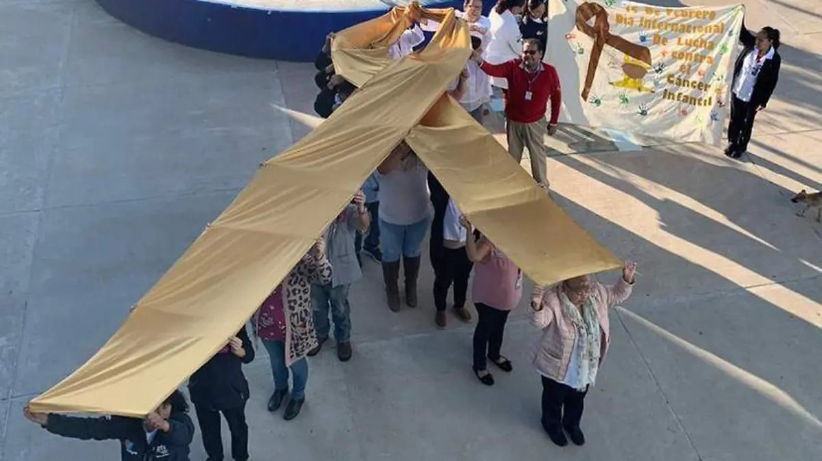 c2f761b7-5e6f-4c38-b8a5-ae23fe09edc8