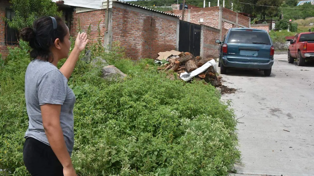 d5589150-3cdd-4f95-abca-3ed9e1515d2d