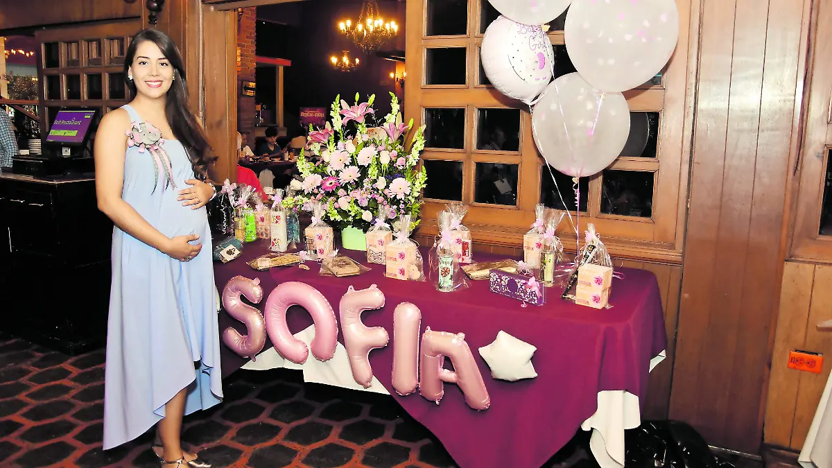 Sofía-está-por-nacer (8)