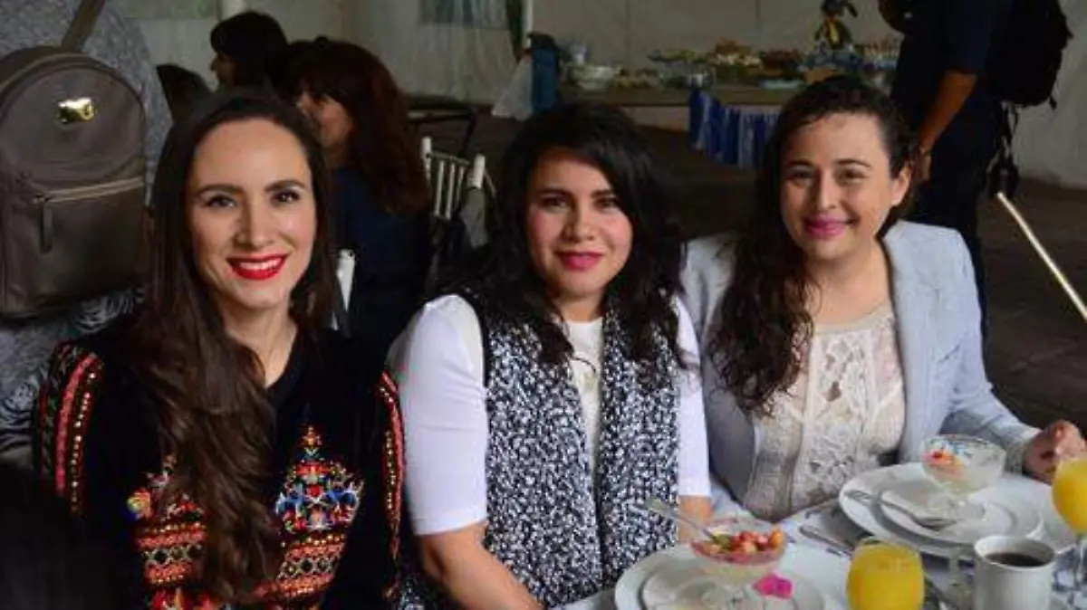 Espera la llegada de su primer bebé (3)