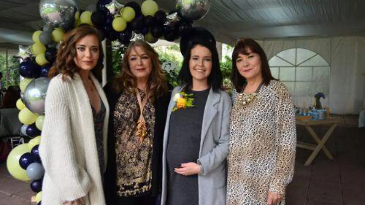 Espera la llegada de su primer bebé (1)