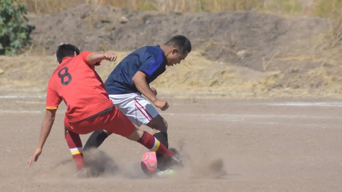 9929f698-6391-48c6-84a4-30c4a7cbdf29