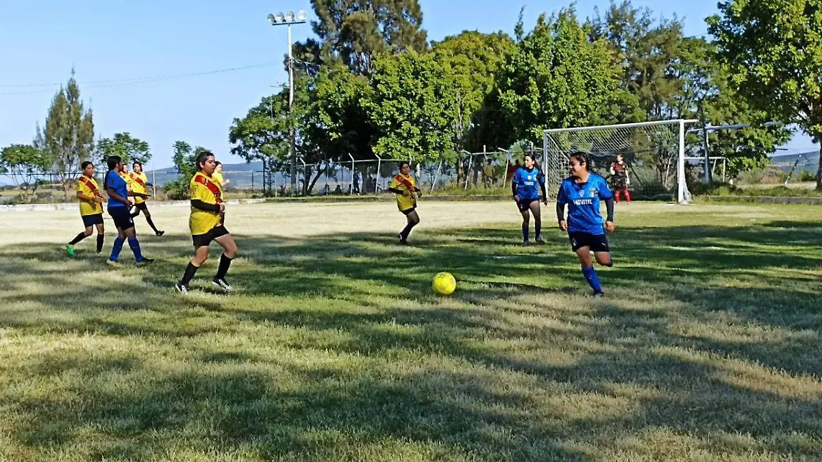 d688b04f-efcb-47e2-938e-87a0c08f51f3