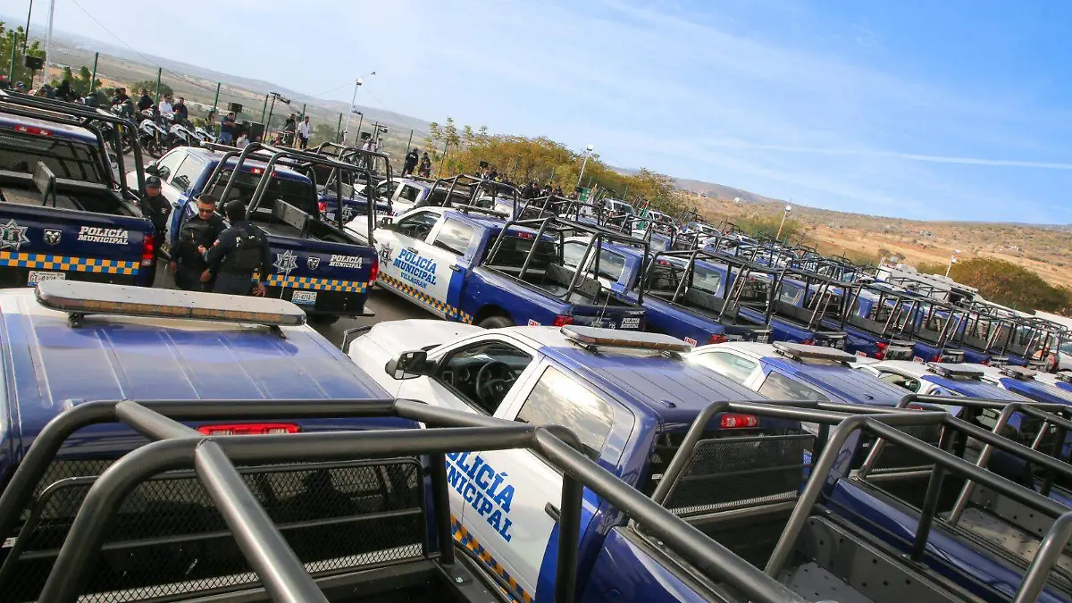 Combate a la delincuencia