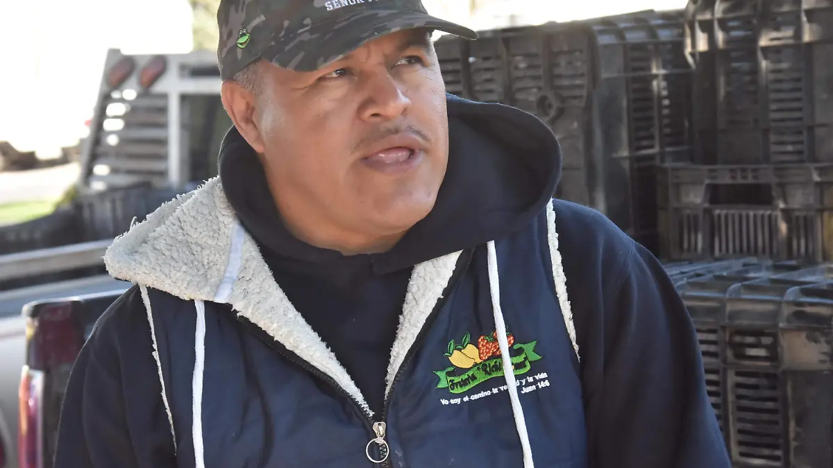 Ventas bajas de fresas 2