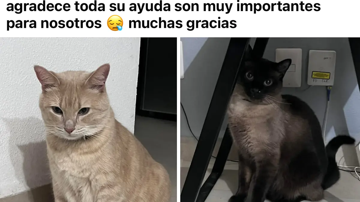 Roban-camioneta-en-la-Irapuato