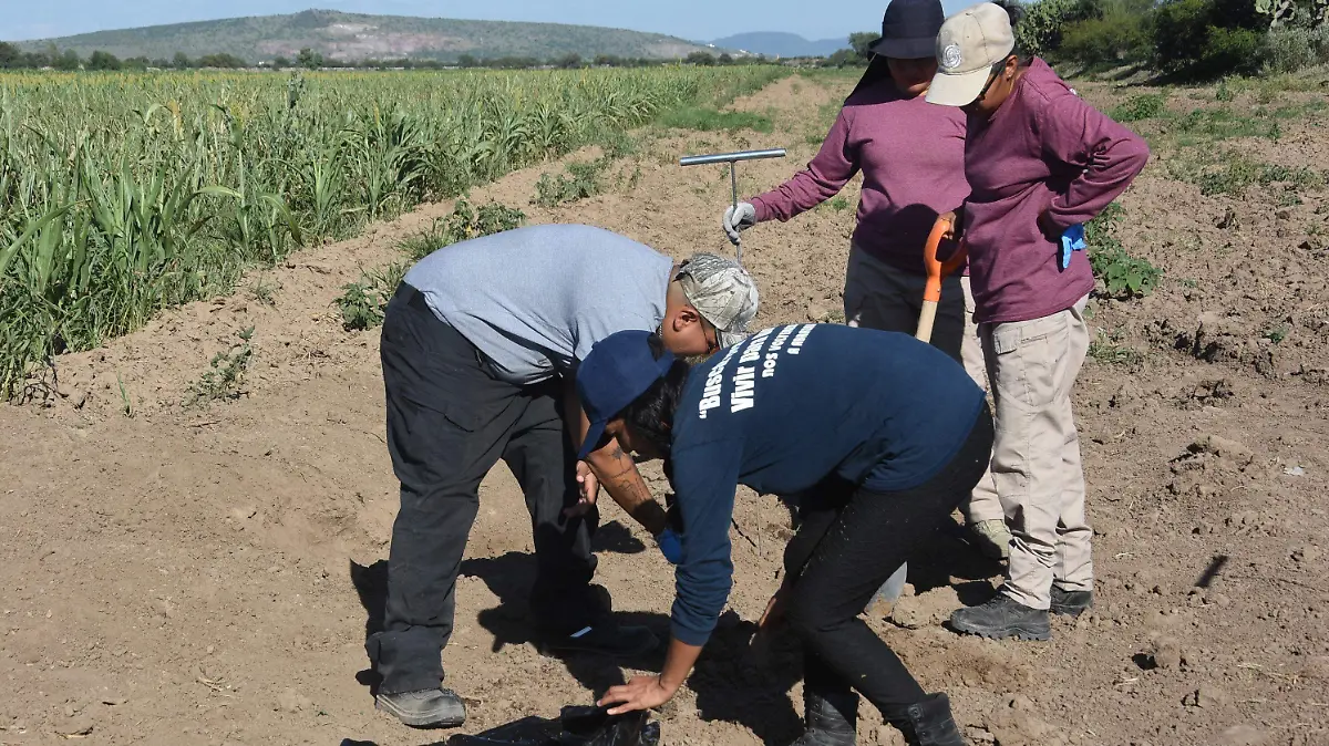 Buscadoras en Irapuato piden ayuda ciudadana para encontrar a sus familiares