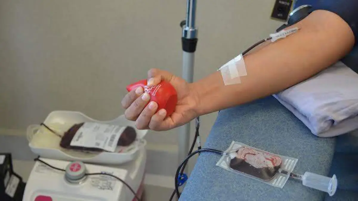 Irapuato, tercer municipio de Guanajuato con mayor donación de sangre