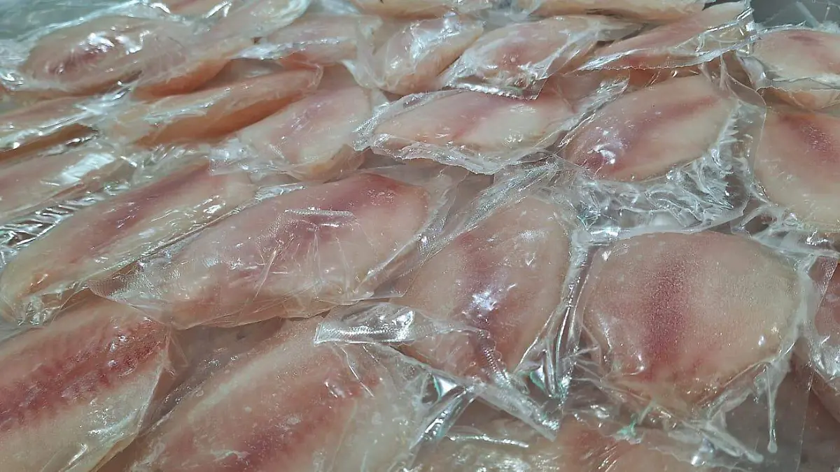 Pescado y Mariscos 3