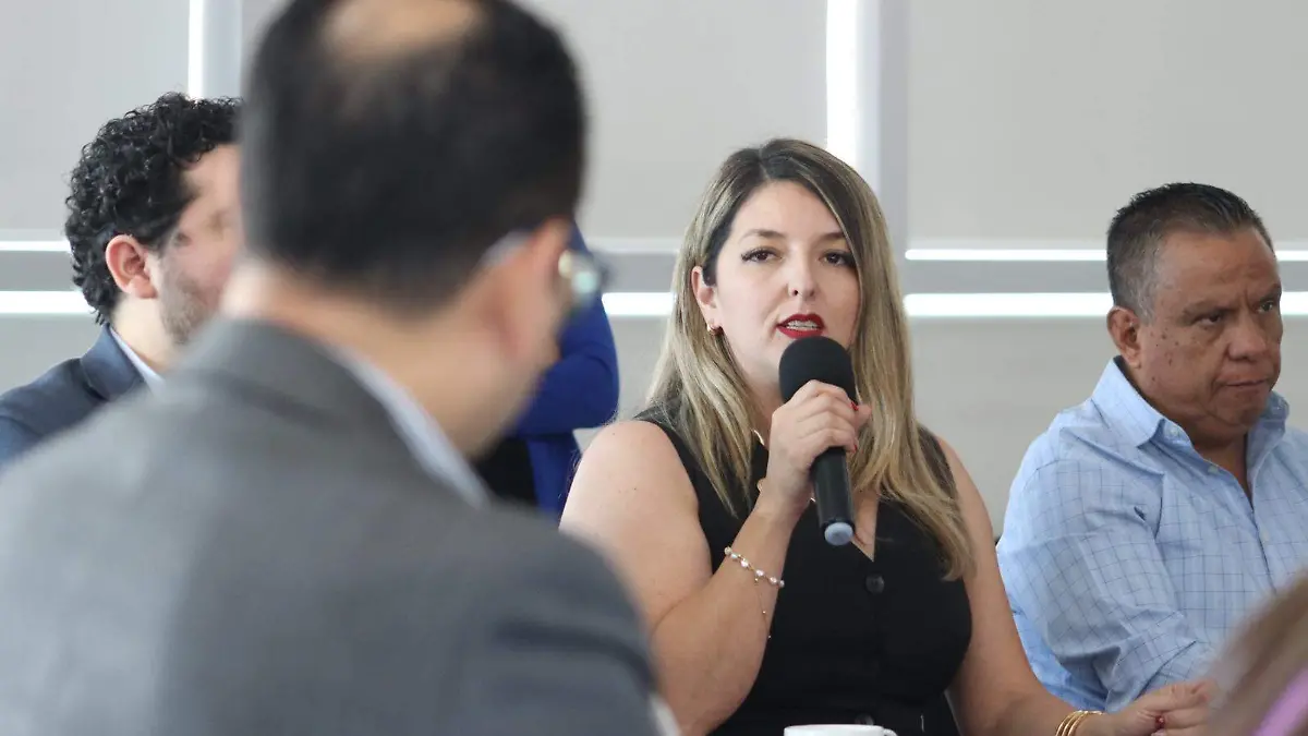 Dialogan-sobre-seguridad