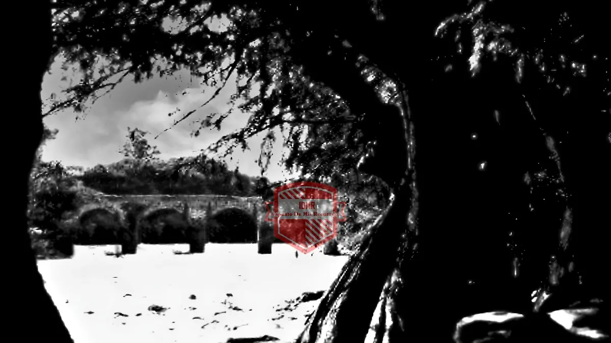 Dique y Derivadora Espanita 48b Irapuato 1909