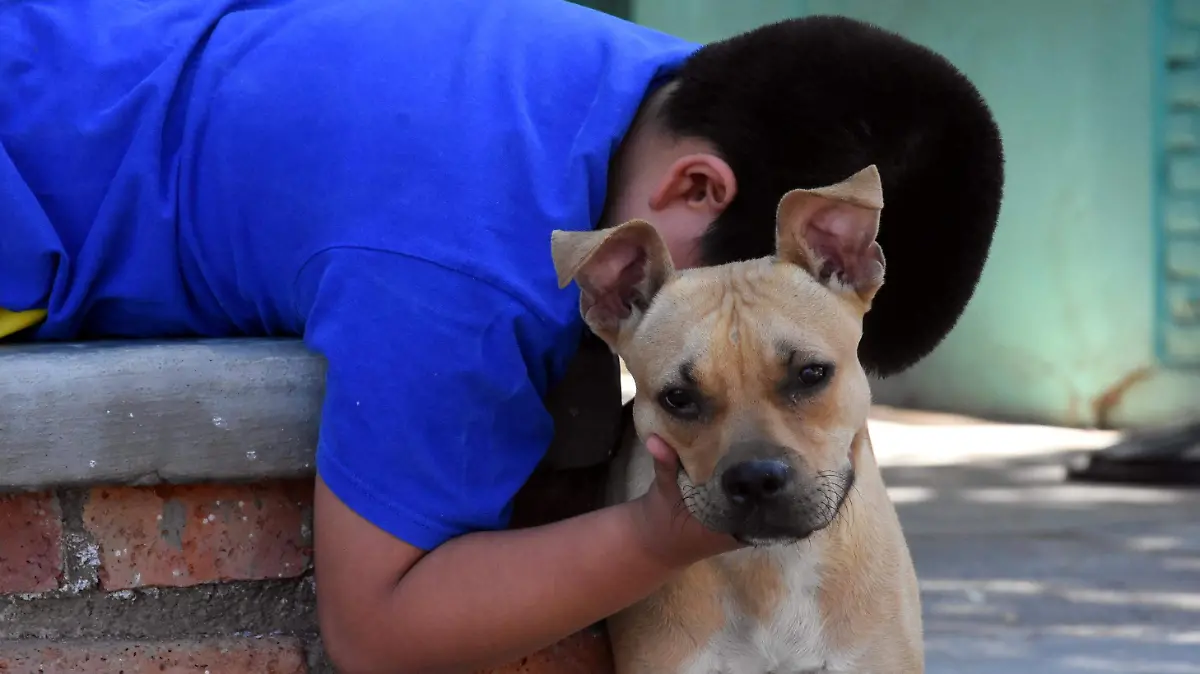 Todos-los-casos-fueron