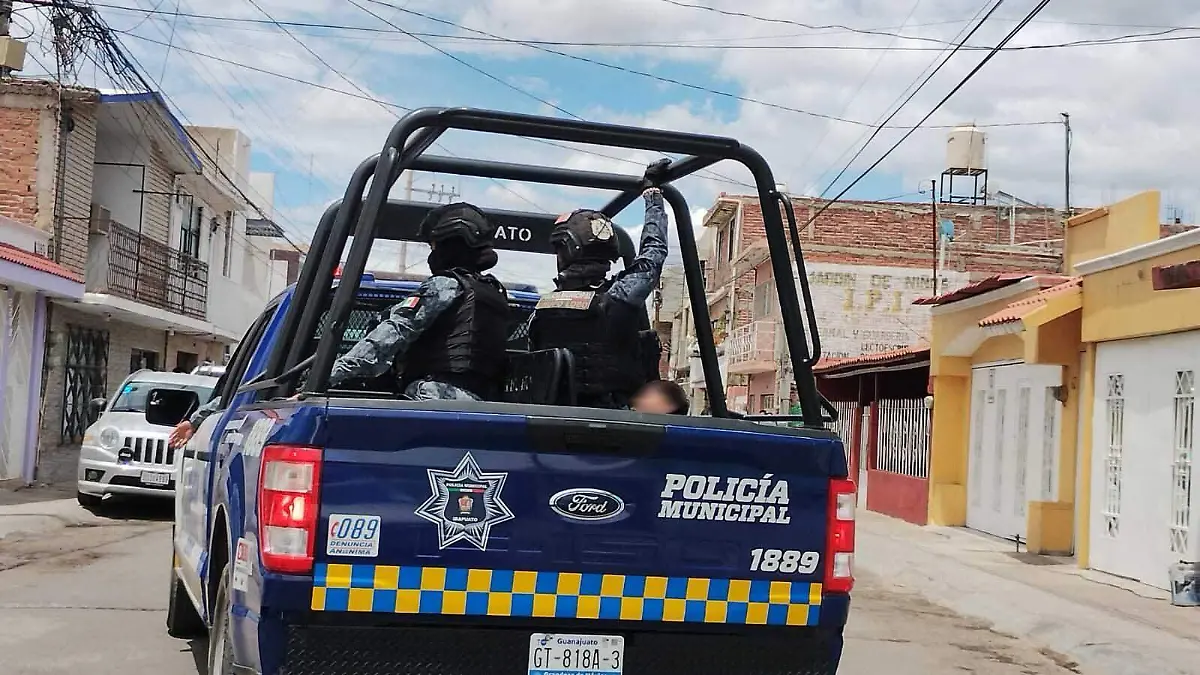 WhatsApp Image 2024-11-29 at 6.48.21 PM