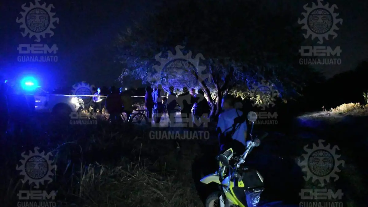 d0edcce1-4851-4a74-bda7-3f69c2c42c57