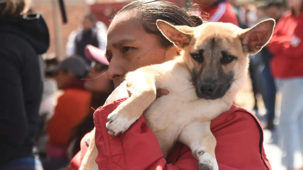 Las-comunidades-deben