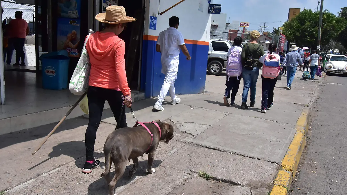 Col. Medicos Veterinarios.-2