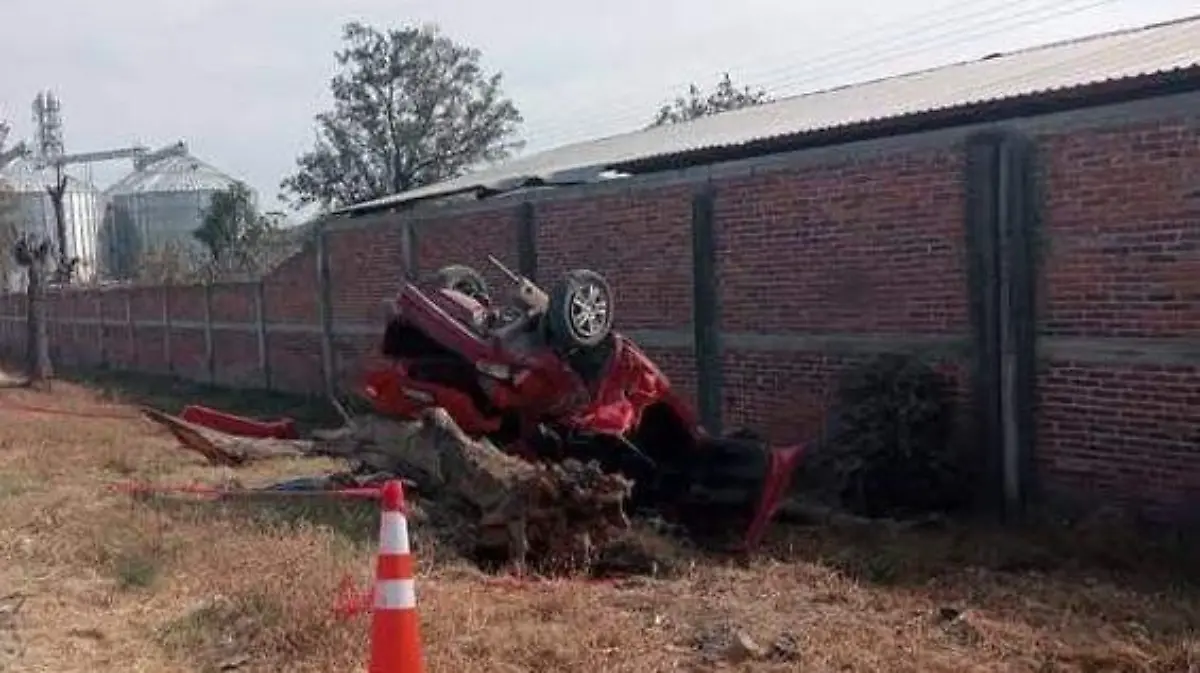 FB_IMG_1739670218119_edit_226758814547