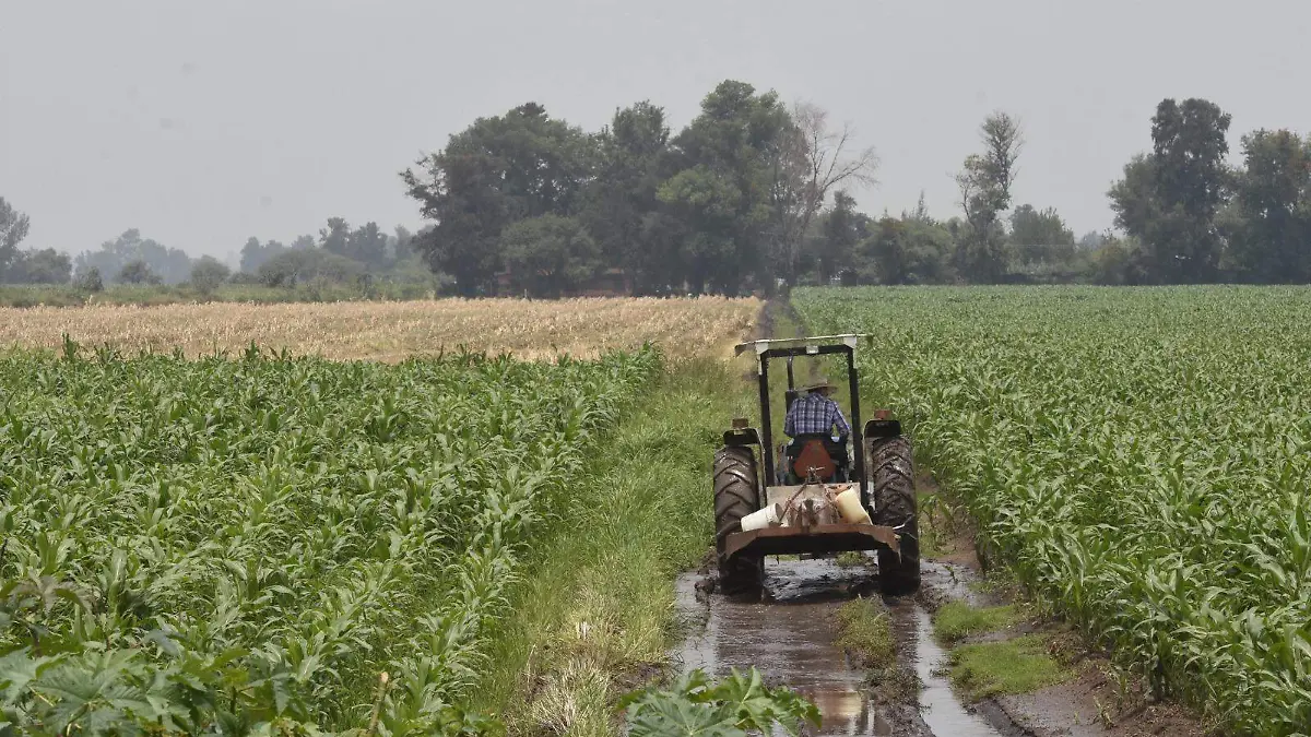Guanajuato cuenta con más de 16 mil pozos clandestinos, piden productores a federación proteger a quien trabaja legalmente