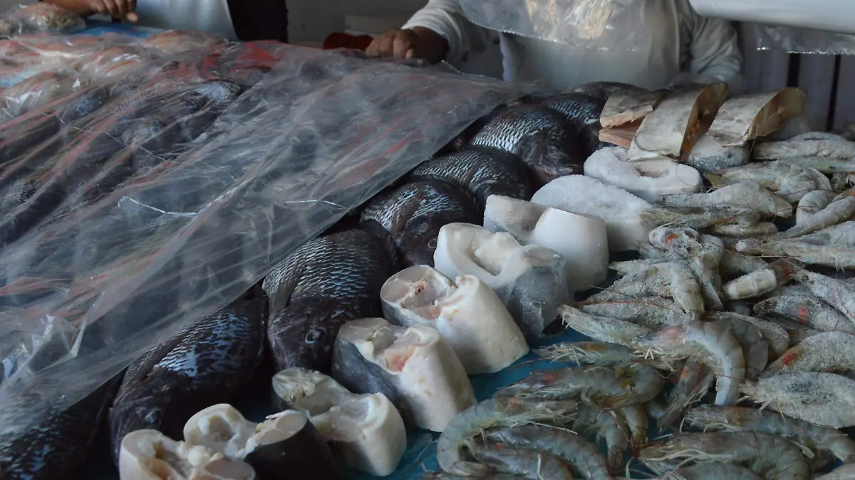 pescados y mariscos 4