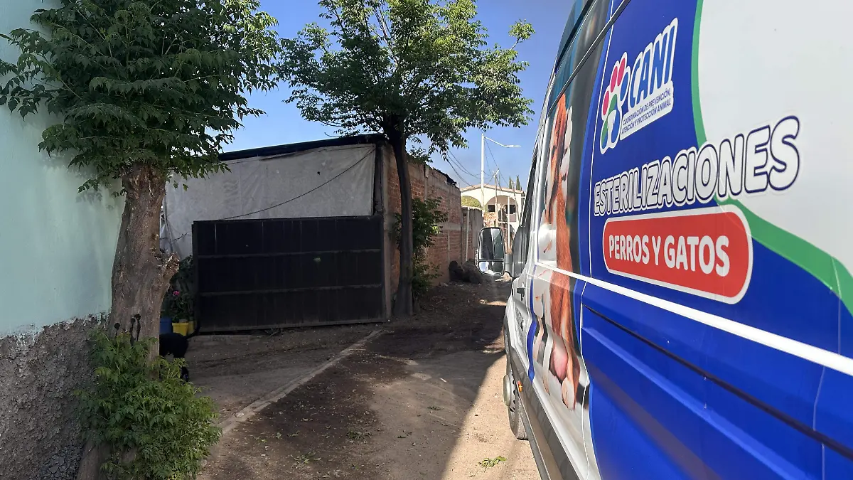 Por incendio en recicladora de Irapuato, mueren varias mascotas. Esto dicen sus dueños