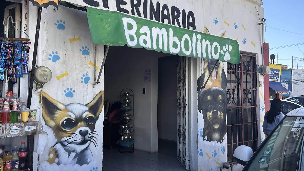 Por incendio en recicladora de Irapuato, mueren varias mascotas. Esto dicen sus dueños