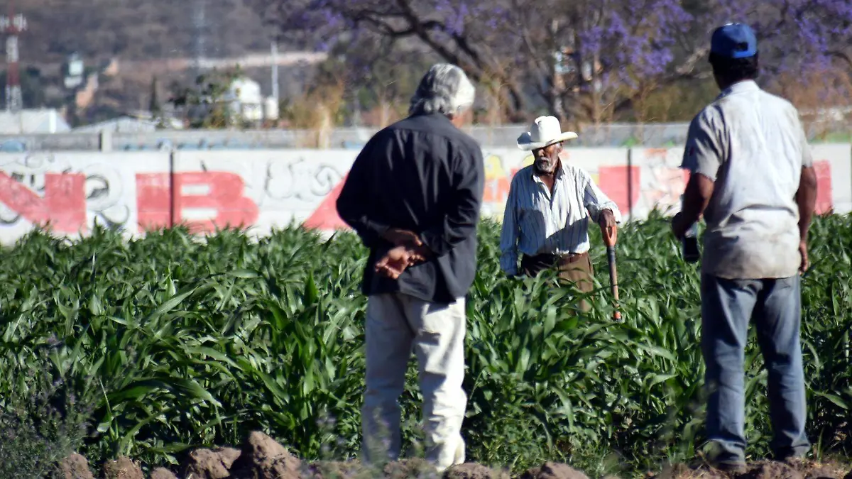 Deportación de guanajuatenses