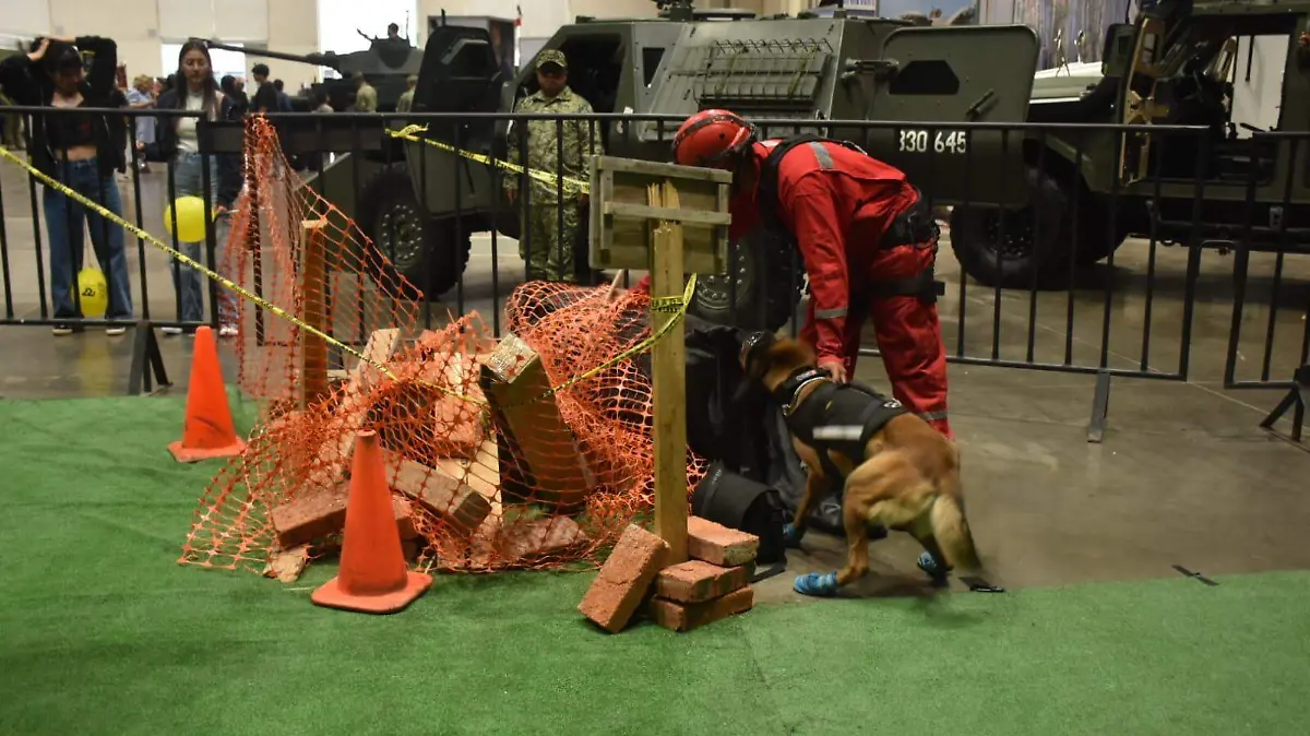 Realizan exhibiciones con Binomios caninos de la Guardia Nacional en la Feria de las Fresas 
