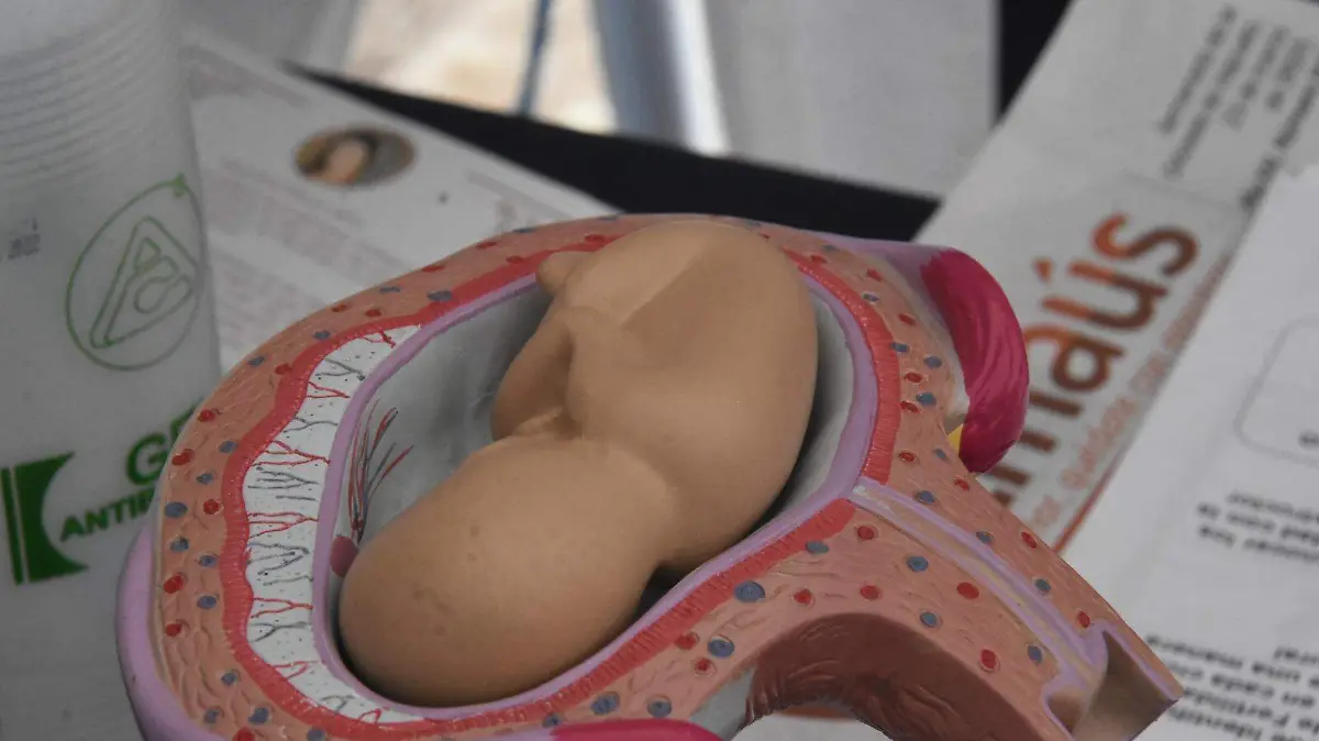 Iglesia y grupos provida manifiestan su rechazo a iniciativa para despenalizar el aborto en Guanajuato