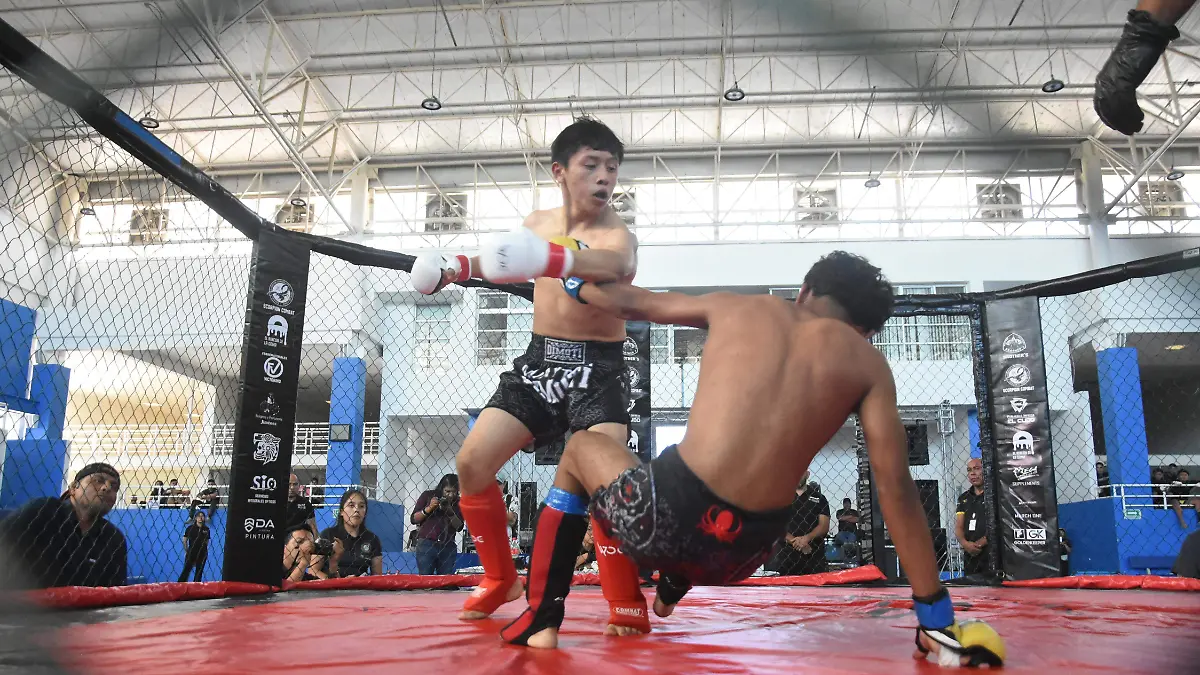 Un éxito el evento de WOK en Irapuato de artes marciales mixtas