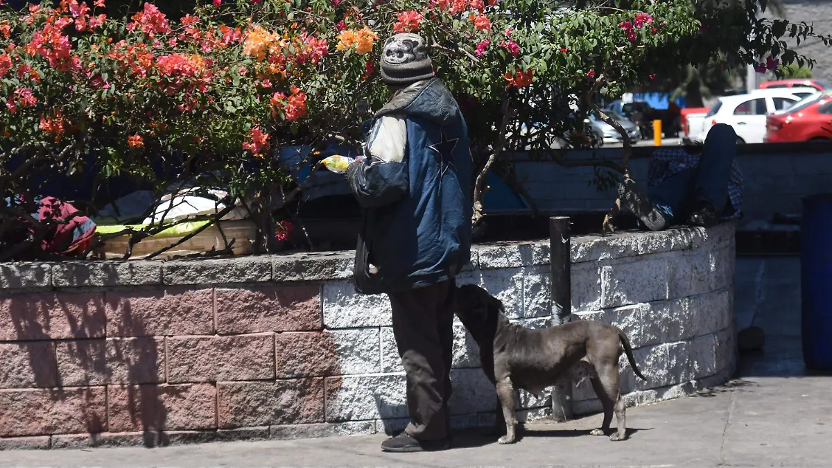 Habitantes de Irapuato expresan opiniones divididas sobre la permanencia de migrantes bajo puente Siglo XXI