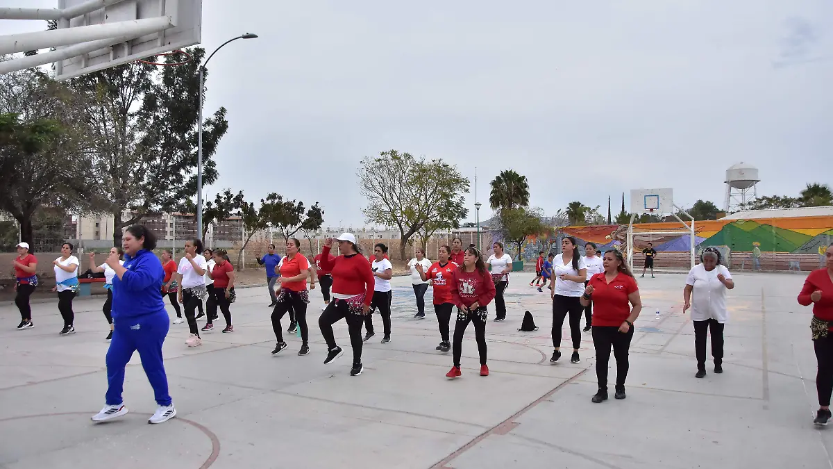 Programa “Aliadas”