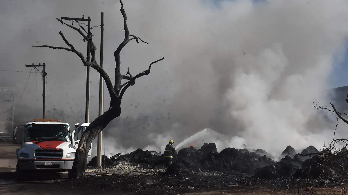 Llaman a reflexionar sobre el cuidado del planeta en el marco del Día de la Tierra
