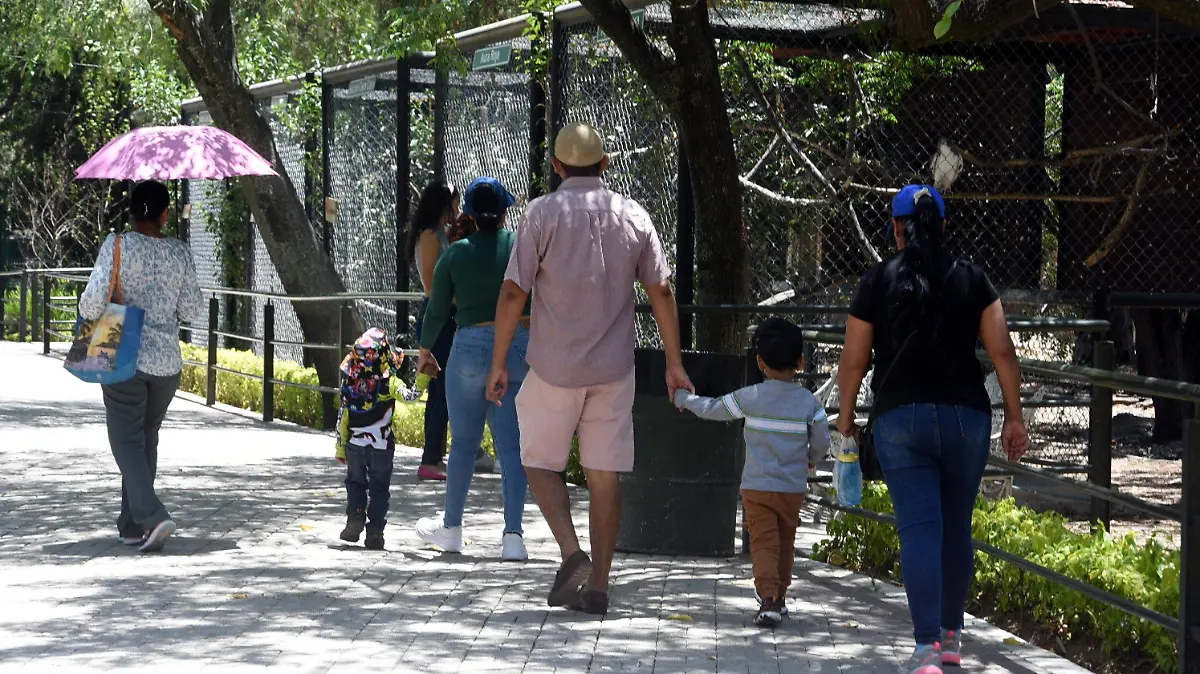 Zoológico de Irapuato