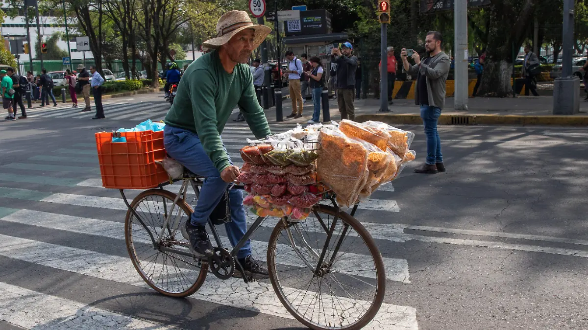 1006450_Vendedor de Botanas_impreso