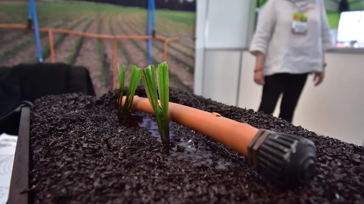 Tecnologia para el Campo.- Ricardo Sanchez.- El Sol de Irapuato