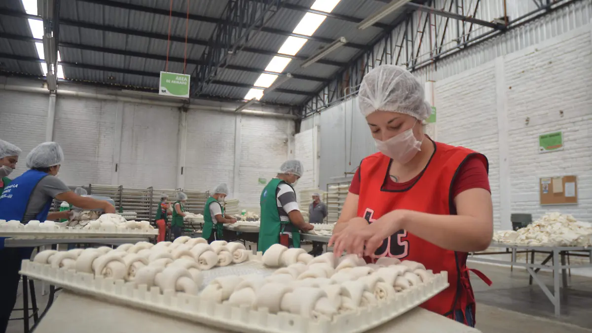 Salarios dignos y desarrollo para el estado, prioritarios para Irapuato