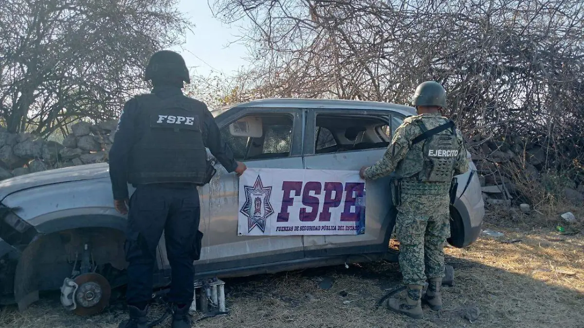 Encuentra FSPE depósito clandestino con 14 vehículos robados en Pénjamo